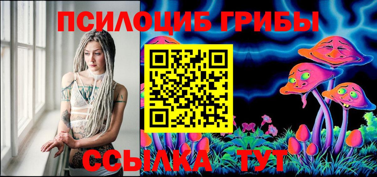 Псилоцибиновые грибы Cubensis Джанкой