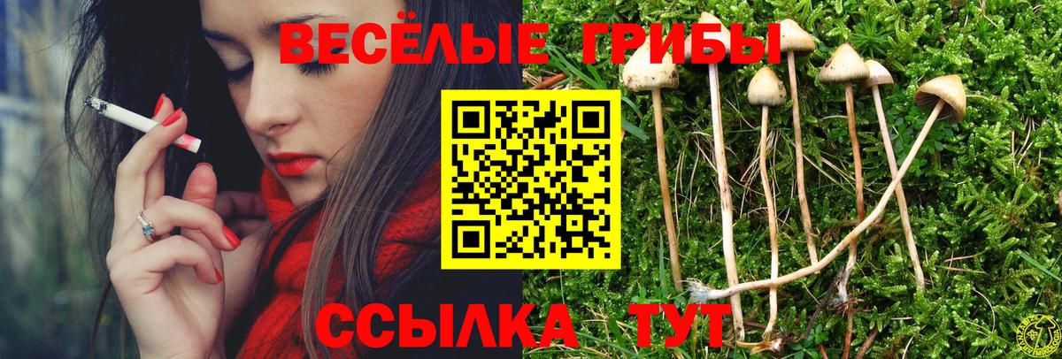 Джанкой  магазин продажи   Вход с VPN  Псилоцибиновые грибы Magic Shrooms  Псилоцибиновые грибы мухоморы 